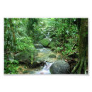 Search for creeks art Trees
