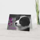 Search for border collie valentines day cards Dog
