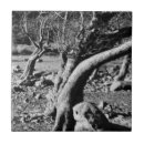 Search for black and white photo tiles Minimalist