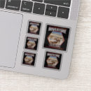 Search for alpaca lover stickers Llama