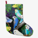 Search for parakeet christmas stockings Budgerigar