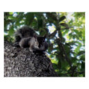 Search for oak tree posters Nature