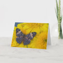 Search for tropical butterfly cards Plant
