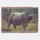 Search for hippo blankets Africa