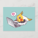 Search for macbook postcards Bird