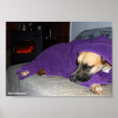 Search for fireplace posters Dog
