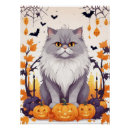 Search for cute animals posters Fun