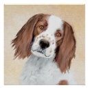 Search for irish setter posters Puppy