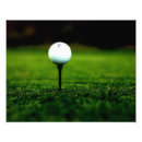 Search for turf posters Sports