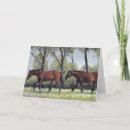 Search for gelding cards Pasture