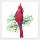 Search for cardinal stickers Watercolor