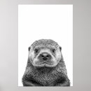 Search for sea otter posters Ocean