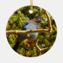 Search for blue jay christmas tree decorations Nature