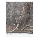 Search for blizzards posters Snowflake