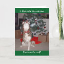 Search for adoption christmas cards Dog