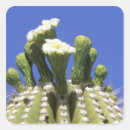 Search for sonora stickers Arizona
