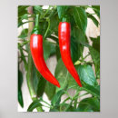 Search for cayenne posters Spice