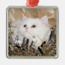 Search for persian cat christmas tree decorations Cute