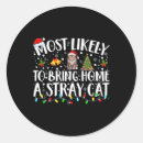 Search for stray cat stickers Winter