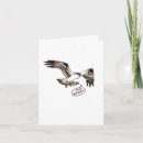 Search for osprey bird cards Birds of prey