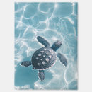 Search for turtled magnets Sea turtle
