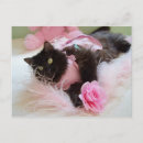 Search for winking postcards Fun