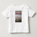 Search for jalisco tshirts City
