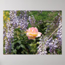 Search for peach floral posters Purple