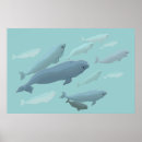 Search for marinelife posters White