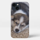 Search for corgi puppy iphone cases Pembroke welsh corgi