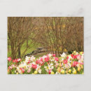 Search for tulip tree Yellow