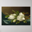 Search for velvet posters Still life