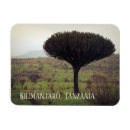 Search for kilimanjaro Tanzania
