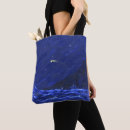 Search for meteor bags Shooting star