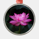Search for lotus flower christmas tree decorations Floral