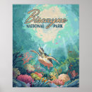 Search for biscayne posters Biscayne national park