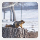 Search for stump stickers Wildlife