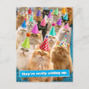 Search for press cards Cute animal