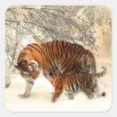 Search for the tiger stickers Winter
