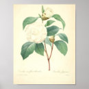 Search for 1800s art Illustration