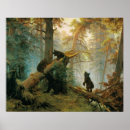 Search for vintage bear posters Wildlife
