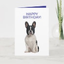 Search for french bulldog birthday cards Cute