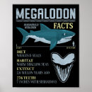 Search for megalodon posters Lake