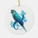 Search for conure christmas tree decorations Bird