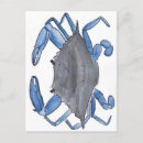 Search for blue crab postcards Nautical