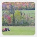 Search for bales stickers Nobody