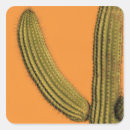 Search for baja california stickers Cabo san lucas