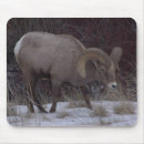 Search for deer postage Horn