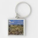 Search for formation key rings Nature