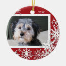 Search for cheerful christmas tree decorations Pet